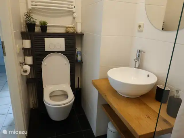 Onze gerenoveerde badkamer is voorzien van alle gemakken